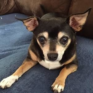 Meet your Posher, Curenna